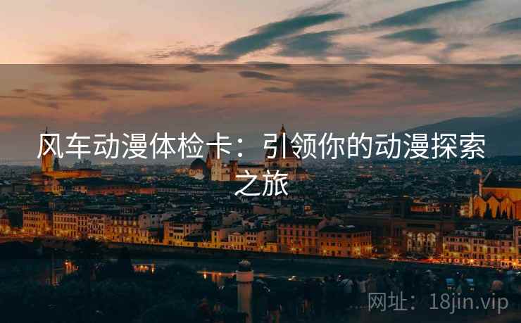 风车动漫体检卡：引领你的动漫探索之旅