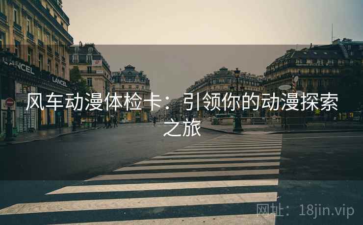 风车动漫体检卡：引领你的动漫探索之旅
