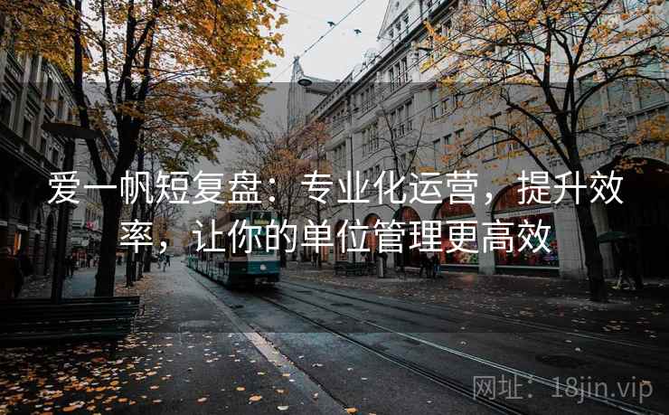 爱一帆短复盘：专业化运营，提升效率，让你的单位管理更高效