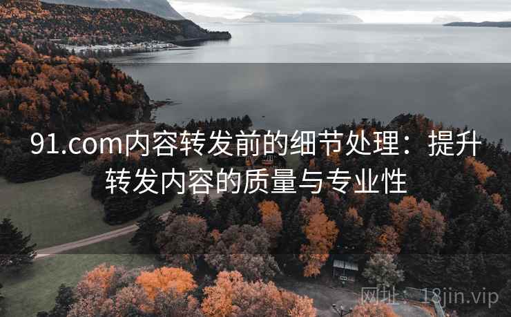 91.com内容转发前的细节处理：提升转发内容的质量与专业性