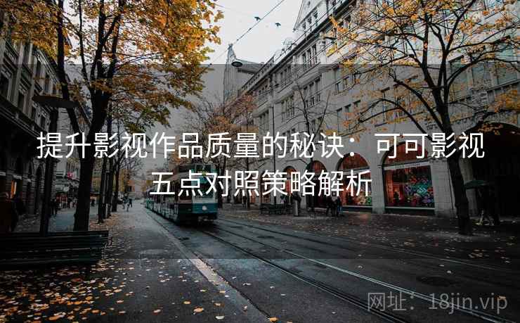 提升影视作品质量的秘诀：可可影视五点对照策略解析