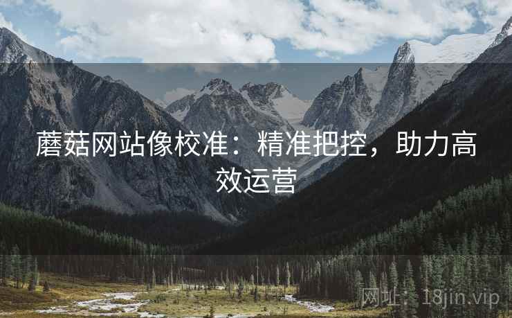蘑菇网站像校准：精准把控，助力高效运营
