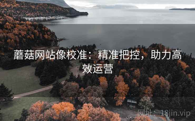 蘑菇网站像校准：精准把控，助力高效运营